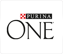 PURINA-ONE