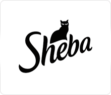 SHEBA